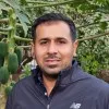 Ali Wafa
