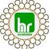 human resource recruiter hr