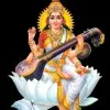 Umesh Kumar