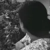 Jayashree Bheeman