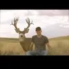 Cole Wallin