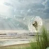 Hugh Sun