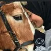 Fatma Almoswi