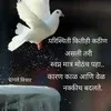 Sadik Shaikh