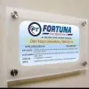 Kavya