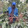 JACK OUMA