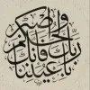 Amir El Shnawy