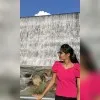 Pooja Chowdary
