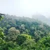 dodo agung sang pencita alam