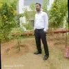 Vikas Borase