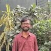 D Pavan