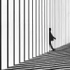 Jason Bui
