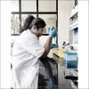 Namrata Shelar