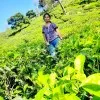 pravallika vemula