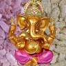 sangeetha engles