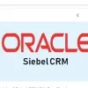 Siebel Freelancer