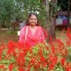 Revathi Udayakumar