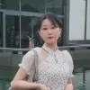 Li Jingmei