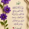 heba ahmed