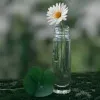 SALFIYA NIZAM