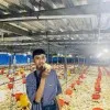 Dimas Ardiansyah Pangestu