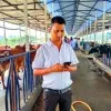 Ajoy bania