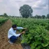Abhishek Tomar