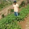 M LUKMAN HAKIM