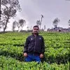 Yogesh Sonawane
