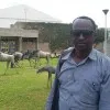 Abdulrazig JUMMA