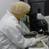 ayad chaimaa