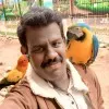 Buri Krishna reddy