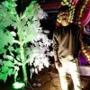Kushal kanti Bera