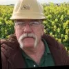 Bob White
