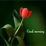 kuldeep sharma