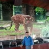 Ajay Yadav
