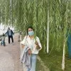 Xumei Lu