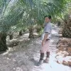 Afid Syafangat