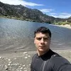 Galo Falotico
