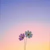 Blissful logos