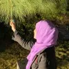 Banday Iqra