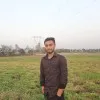 Md Palash Ali
