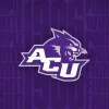 Tallulah Morley