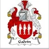 Neil Galvin