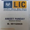 Ankeet panday
