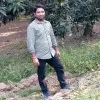 pramod kumar singh