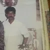 Pandis Waran