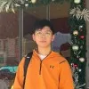 Ding Yang
