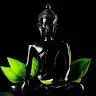 Arpitha