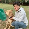 Daniel Balmaceda